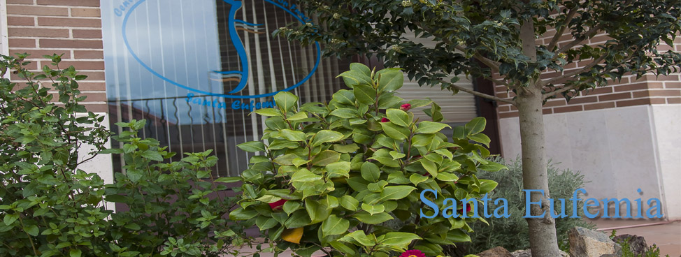 clinica Santa Eufemia Valladolid